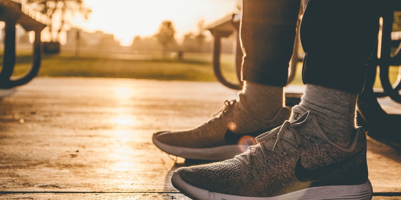 serre zeeland serre zeeland